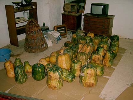 ac-museo-materia-prima-panadera
