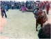 13Aguerri033