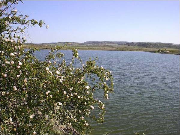 bb-pantano-valdelafuen2