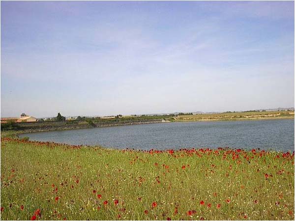 bc-pantano-valdelafuen